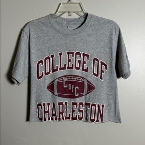 College of Charleston Cougars Women’s Champion Small Crop Top Football Shirt